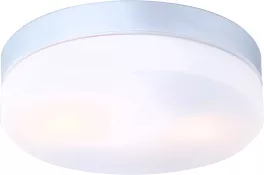 Globo 32112 Влагозащищенный потолочный светильник ,ванная